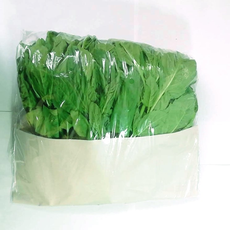 ALBAHACA NUFAR  /  NUFAR BASIL